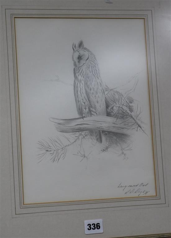 Ronald David Digby, watercolour with bodycolour, two Mallard ducks in flight and pencil sketch of a Long-eared owl 30.5 x 22.5cm and 30